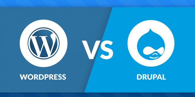 Drupal ou WordPress : Quel CMS choisir pour son site internet ?